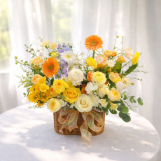 오렌지 태양 아래